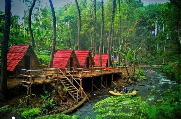 Kampung Singkur, Perkampungan Di Tengah Rimbunnya Pohon&nbsp;Pinus